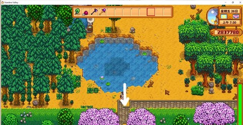 星露谷物语什么森林[图2]