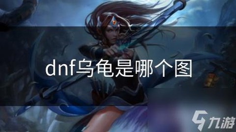 dnf乌龟是什么意思[图1]