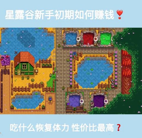 星露谷物语什么调钱[图1]