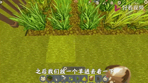 迷你世界小动物怎么做[图1]