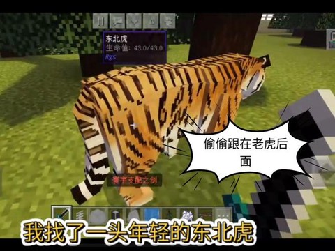 我的世界老虎怎么驯服[图2]