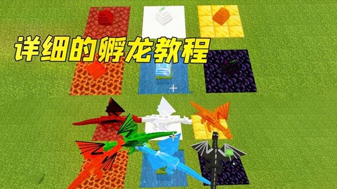 我的世界怎么要龙蛋[图2]