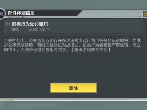 使命召唤ol怎么打不开游戏[图2]