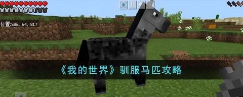 我的世界马怎么繁殖[图1]