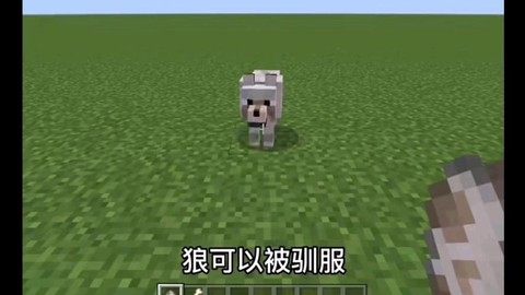 我的世界怎么给狼命名[图2]
