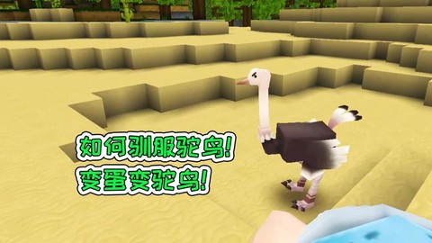 迷你世界怎么驯服骆鸟[图2]