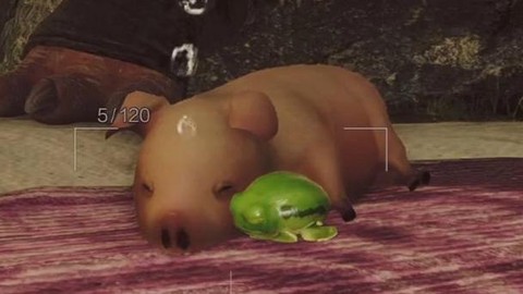 怪物猎人2猪有什么用[图2]